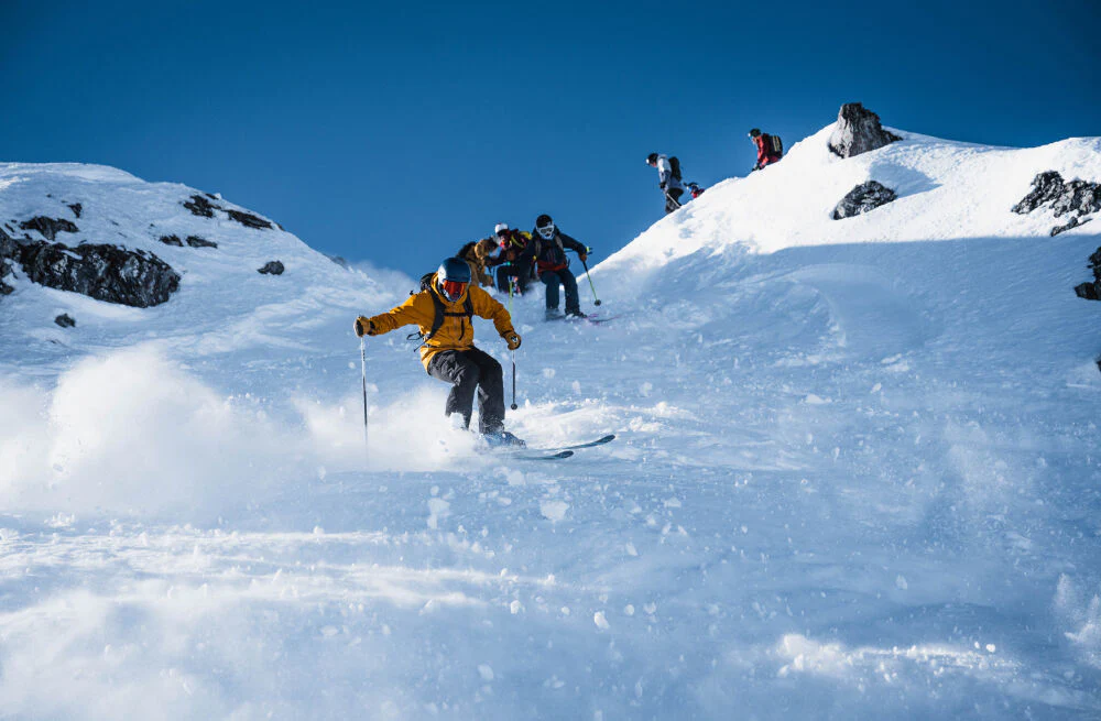 Ski Sauvage Meta Poles - Image 2